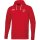 Kapuzensweat SG Ascholding/Thanning Basic
