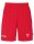 TSV Dachau Spurs Team Shorts