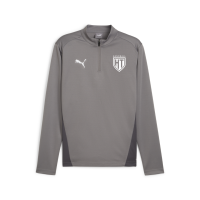 teamGOAL Training 1/4 Zip Top HT München