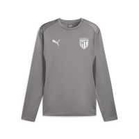 teamGOAL Training Sweat Jr HT München