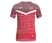 Trainingsshirt Iconic SG Ascholding/Thanning