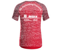 Trainingsshirt Iconic SG Ascholding/Thanning