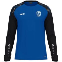 Longsleeve Sonic Putzbrunner SV