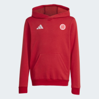 FC Croatia München ENT26 Hoody Kinder