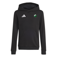 FC Alte Haide - DSC München ENT26 Hoody Kinder