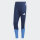 Tiro 26 Competition Trainingshose TSV Trudering Fussball