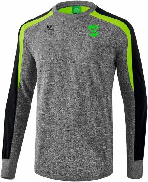 Liga 2.0 Sweatshirt DJK Fasangarten